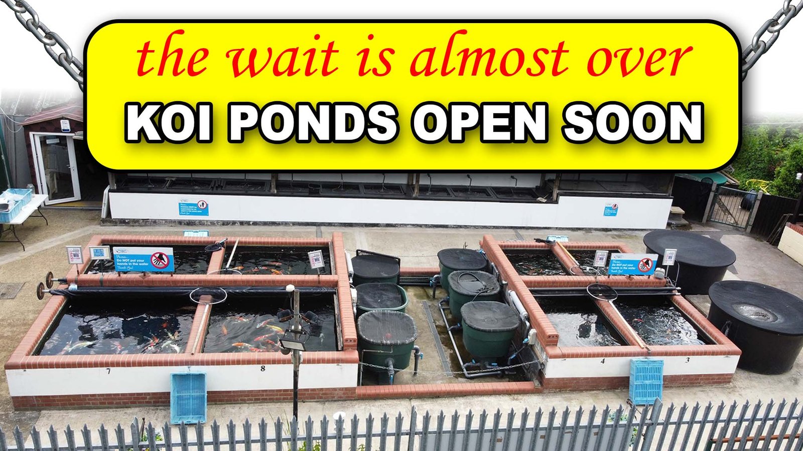 Japanese Water Gardens Koi and aquatics, pets and reptiles along with